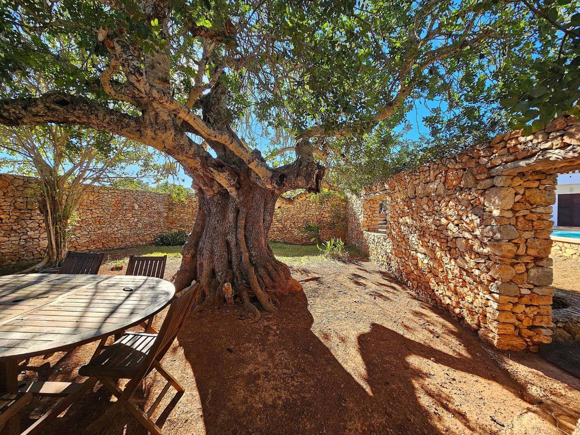 Cala Jondal "Can Amanaya" San José 外观 照片
